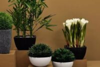 Buy Artificial Plants for Indoors for Modern Homes